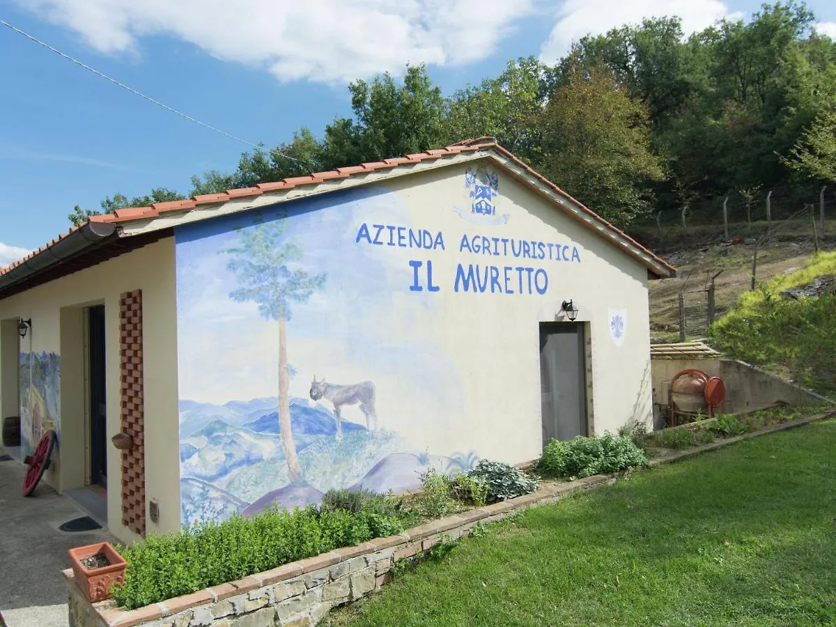 Spacious Holiday Home In Vicchio With Private Pool